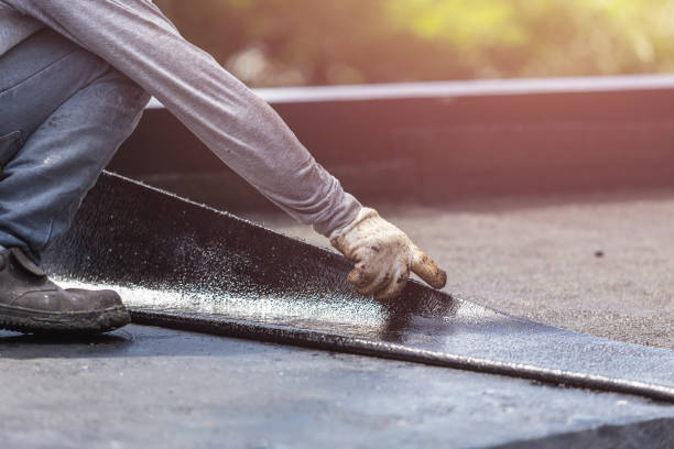 Professional Interior Drainage System technician working in Justice, IL